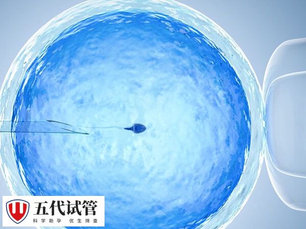 试管婴儿囊胚培养技术是什么