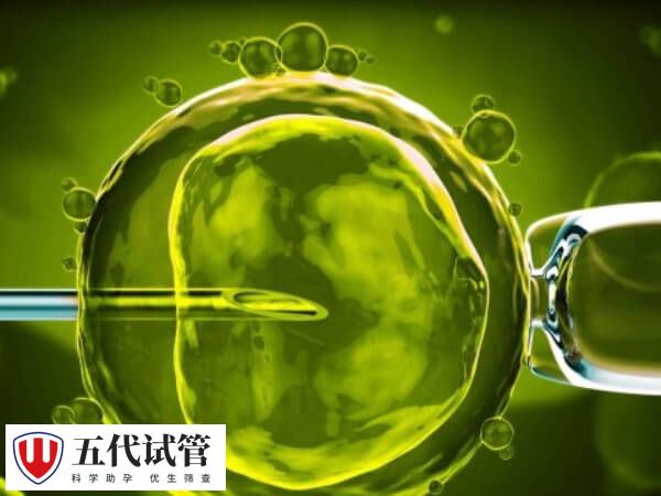 内膜过厚对试管婴儿成功率有无影响