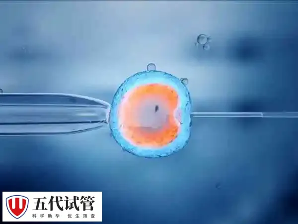促排期间孕酮低怎么办