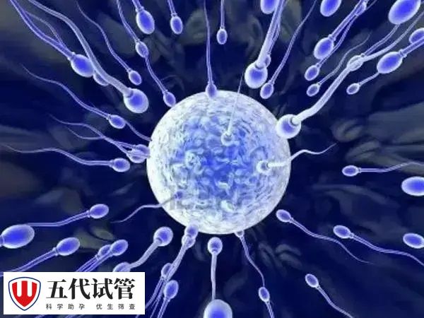 试管婴儿语言会不会发育迟缓