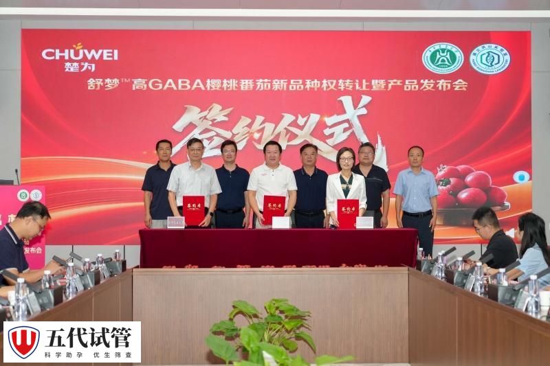 国内首个非基因编辑高GABA功能型番茄品种成功转让